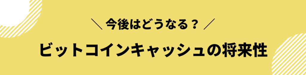 ビットコインキャッシュ 今後