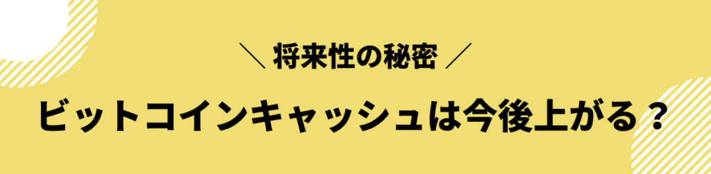 ビットコインキャッシュ 今後