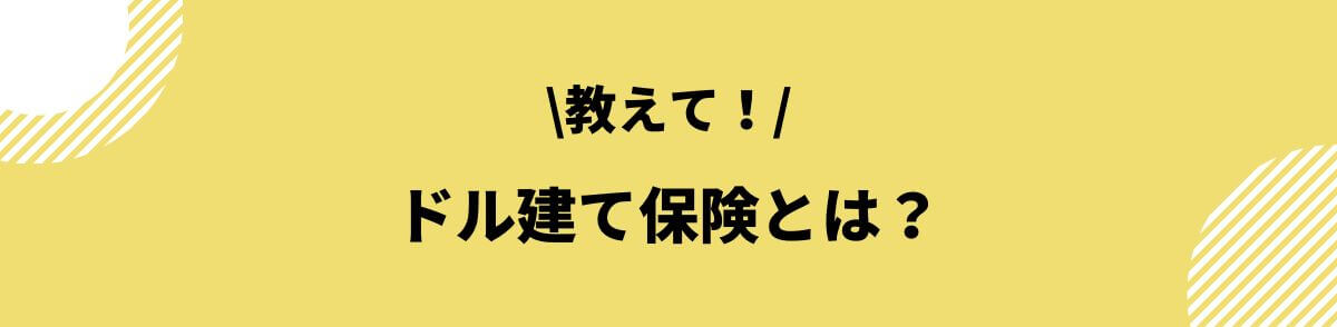 ドル建て保険とは