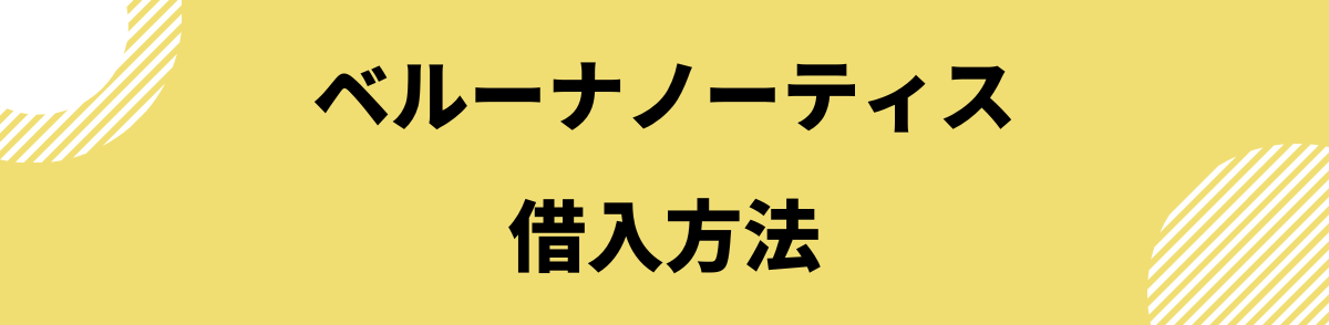 「ベルーナノーティスの借入方法」の見出し画像