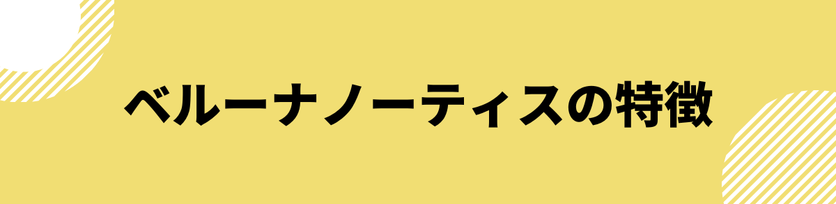 「ベルーナノーティスの特徴」の見出し画像