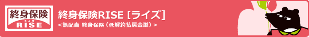 オリックス生命『終身保険RISE [ライズ]』