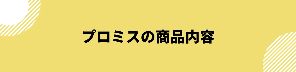 プロミスの商品内容_口コミ