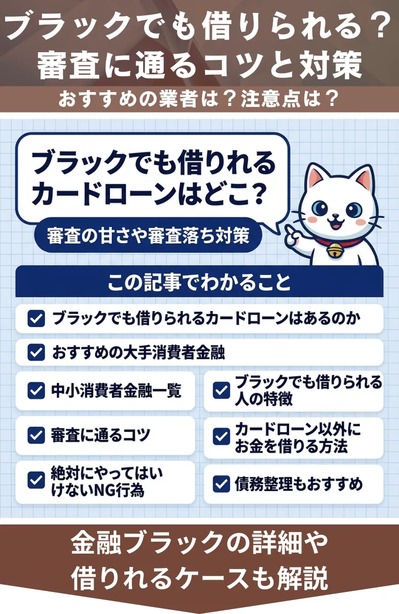 ブラックでも借りれるカードローン_概要