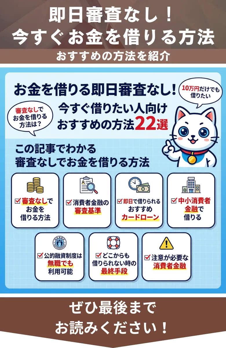 お金を借りる_即日_審査なし_概要