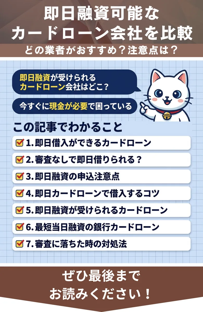 カードローン_即日融資_概要
