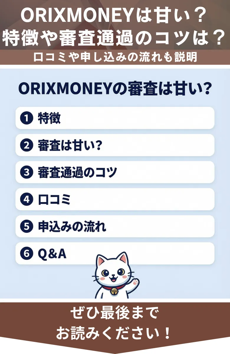 オリックスマネー_審査_概要