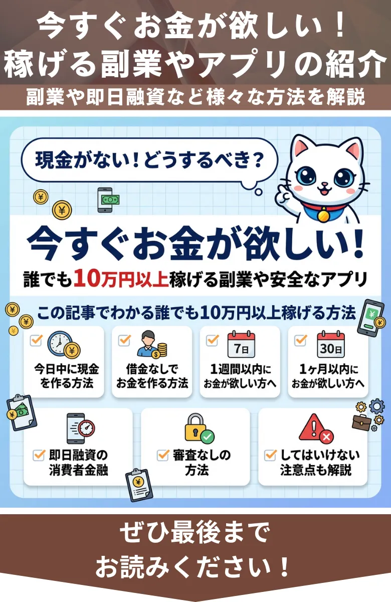 今すぐお金が欲しい_概要