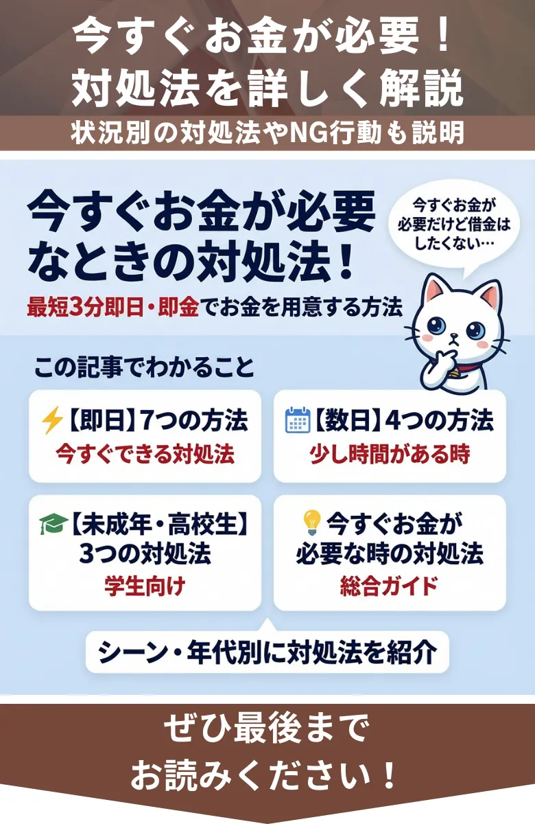 今すぐお金が必要_概要