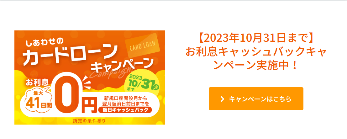おすすめのカードローン_琉球銀行カードローン